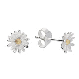 Spring Daisy Studs