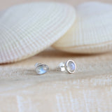 Oval Moonstone Studs